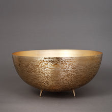 Load image into Gallery viewer, The Home Bowl with Legs Planter Brush Gold BG1973-A
