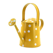 Load image into Gallery viewer, The Home Water Cane-KE10942