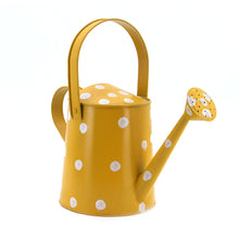 Load image into Gallery viewer, The Home Water Cane-KE10942