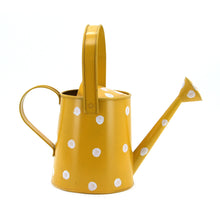 Load image into Gallery viewer, The Home Water Cane-KE10942