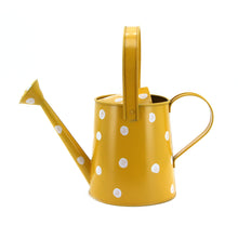 Load image into Gallery viewer, The Home Water Cane-KE10942