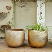 Load image into Gallery viewer, The Home Small Round Planter Gold GD876-D