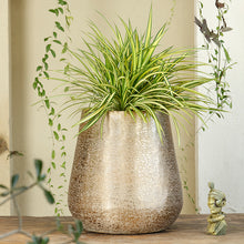 Load image into Gallery viewer, The home Medium Barrel Planter Brush Gold BG1644-B