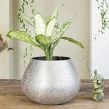 Load image into Gallery viewer, The Home Big Small Planter Hammered Silver NL1418-B