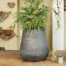 Load image into Gallery viewer, The home Medium Barrel Planter Minki Black MB1644-B