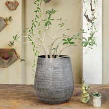 Load image into Gallery viewer, The home Small Barrel Planter Minki Black MB1644-B