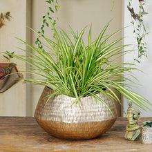 Load image into Gallery viewer, The Home Small Round Planter Gold GD1026-B