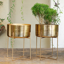 Load image into Gallery viewer, The home Pot With Stand Planter Gold 1503-A