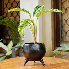 Load image into Gallery viewer, The Home Pot With Legs Planter Small Black CB1638-B