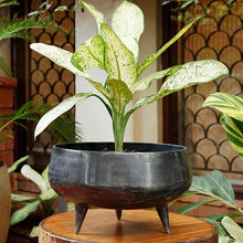 Load image into Gallery viewer, The Home Pot Planter With Legs Black CB1639-A