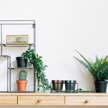 Load image into Gallery viewer, The Home Pot With stand 2 Different Color-L-1851