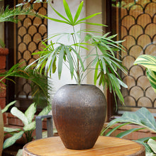 Load image into Gallery viewer, The home Vase Antique Black & Gold 1474-C