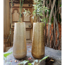 Load image into Gallery viewer, The home Small Conical Planter Brush Gold 1498-C