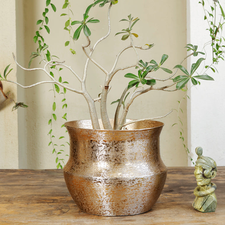 Medium Round Planters