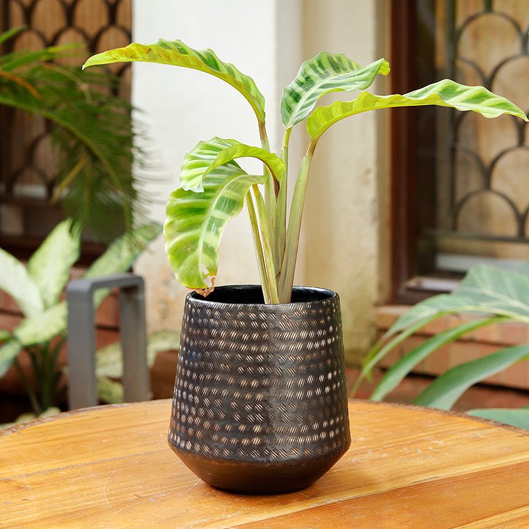 Small Barrel Planters