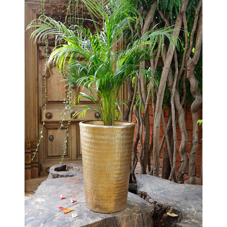 Small Conical Planters