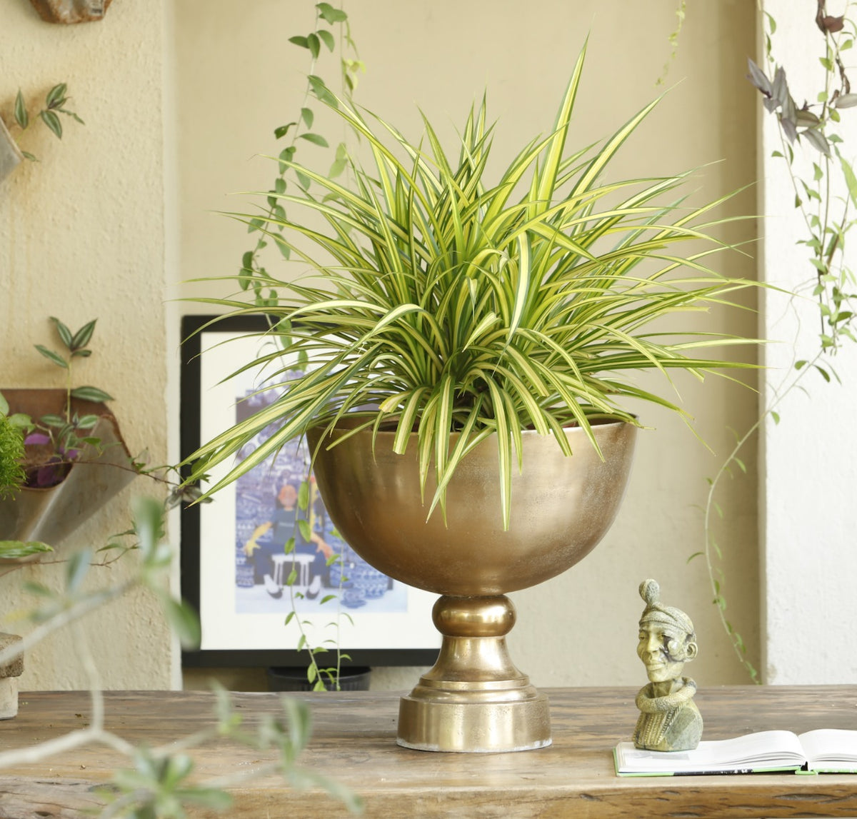 Bowl Planters