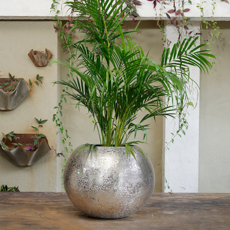 Pot Planters