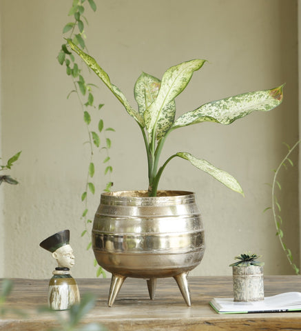Pot With Legs Planter