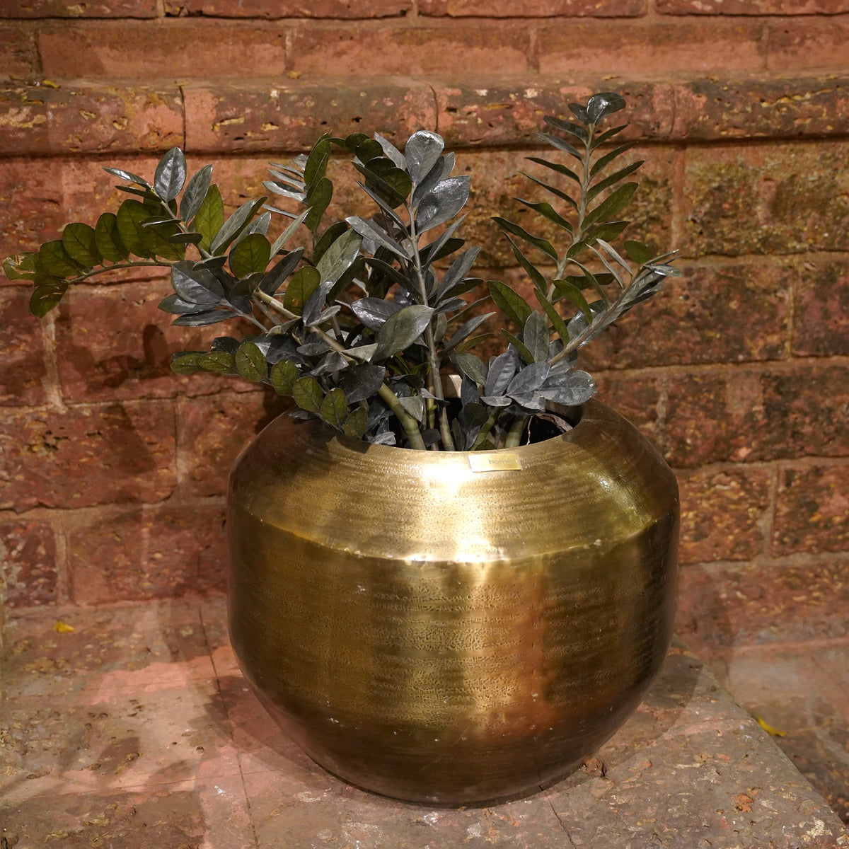 PLANTER MEDIUM CG3826-B