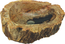 Load image into Gallery viewer, FOSSIL BASIN
