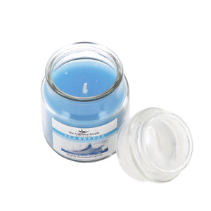 The Home Seabreeze Small Jar Candle
