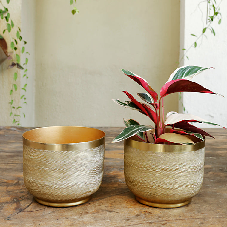 The home Bowl Planter Ridged Gold GD1304-B