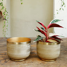 Load image into Gallery viewer, The home Bowl Planter Ridged Gold GD1304-B
