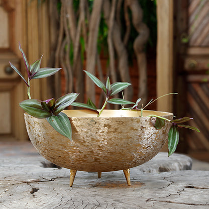 The Home Bowl with Legs Planter Brush Gold BG1973-B
