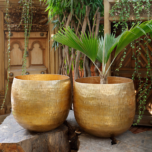 The Home Big Round Planter Gold GD876-A