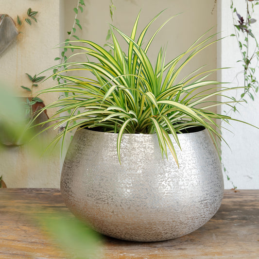 The Home Big Round Planter Hammered Silver NL1418-A