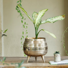 Load image into Gallery viewer, The Home Pot Planter with Legs Gold GD1402-B
