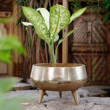 Load image into Gallery viewer, The Home Pot Planter with Legs Gold GD1639-B
